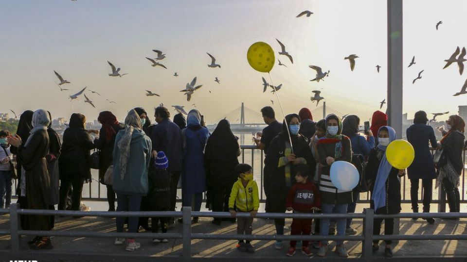 پذیرایی اهوازی ها از مرغ های ماهی خوار