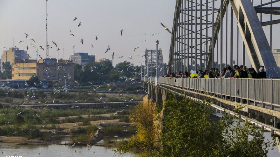 پذیرایی اهوازی ها از مرغ های ماهی خوار