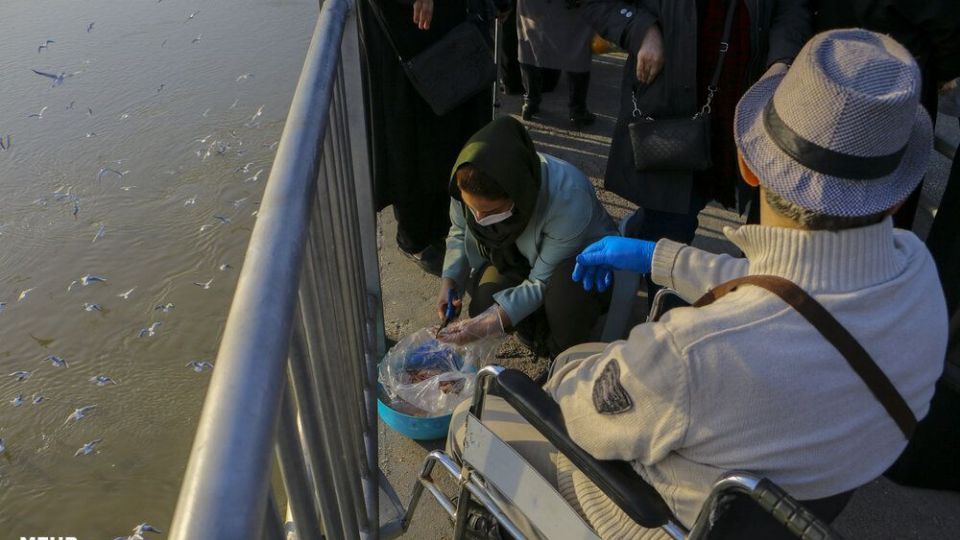 پذیرایی اهوازی ها از مرغ های ماهی خوار