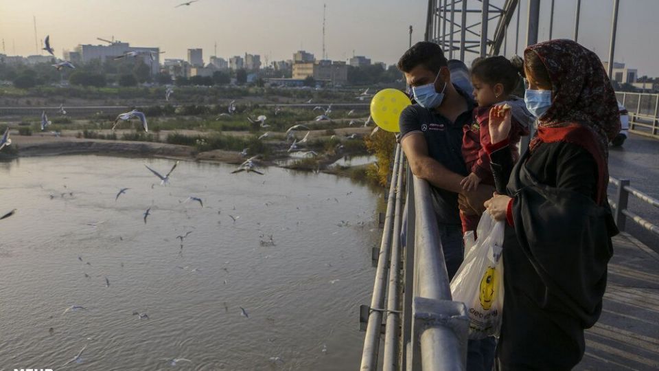 پذیرایی اهوازی ها از مرغ های ماهی خوار