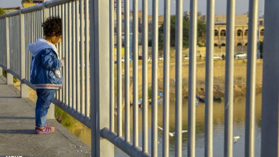 پذیرایی اهوازی ها از مرغ های ماهی خوار