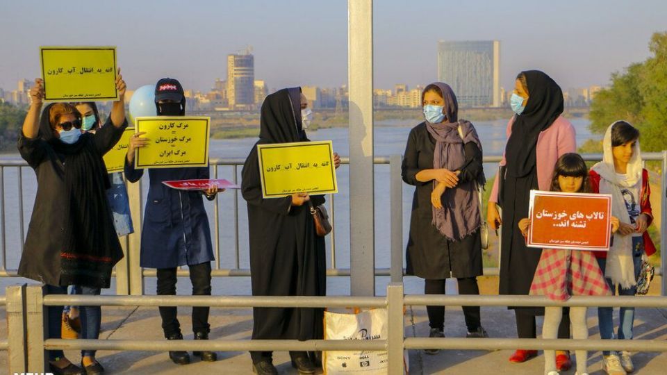 پذیرایی اهوازی ها از مرغ های ماهی خوار