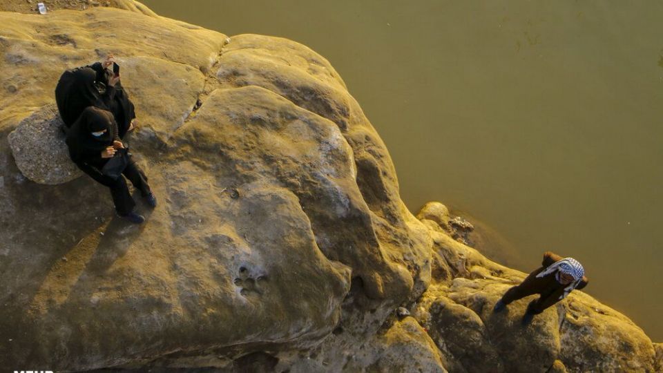 پذیرایی اهوازی ها از مرغ های ماهی خوار