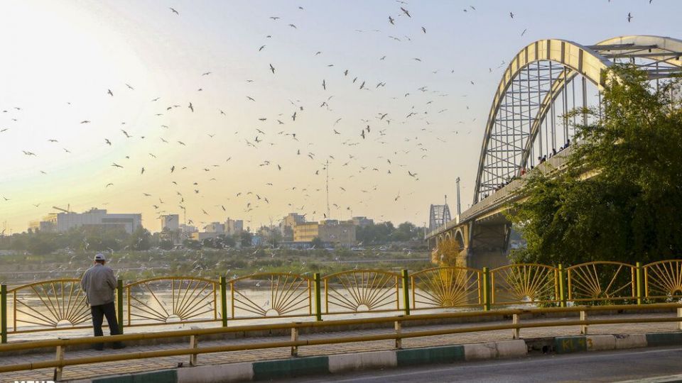 پذیرایی اهوازی ها از مرغ های ماهی خوار