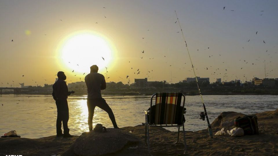 پذیرایی اهوازی ها از مرغ های ماهی خوار