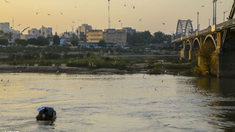 پذیرایی اهوازی ها از مرغ های ماهی خوار