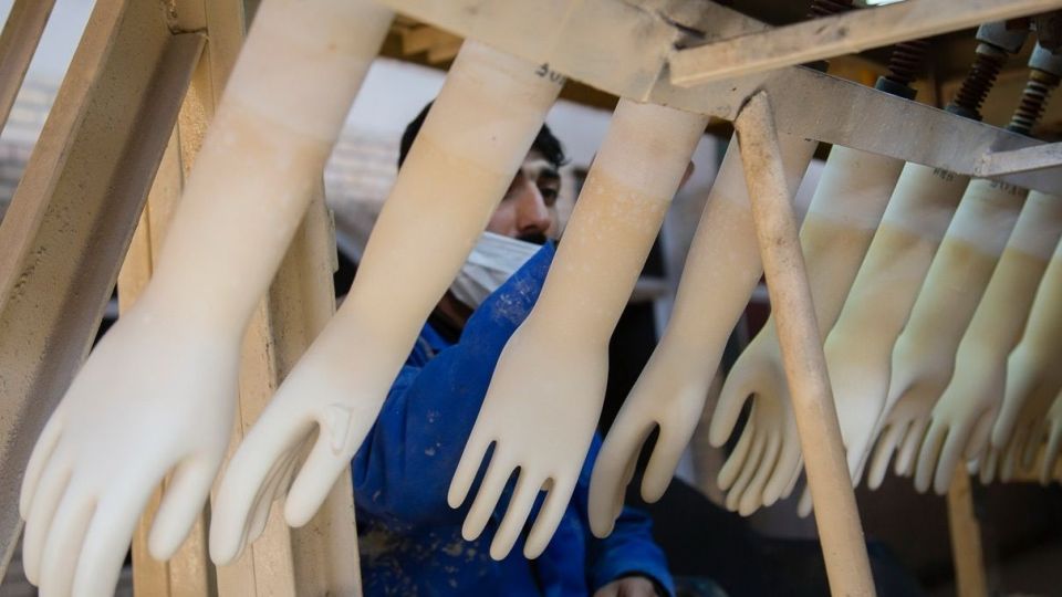 کارگاه تولید دستکش جراحی لاتکس در جنوب کشور