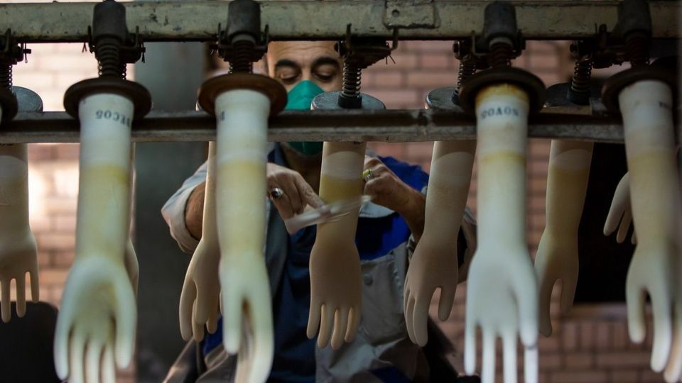 کارگاه تولید دستکش جراحی لاتکس در جنوب کشور