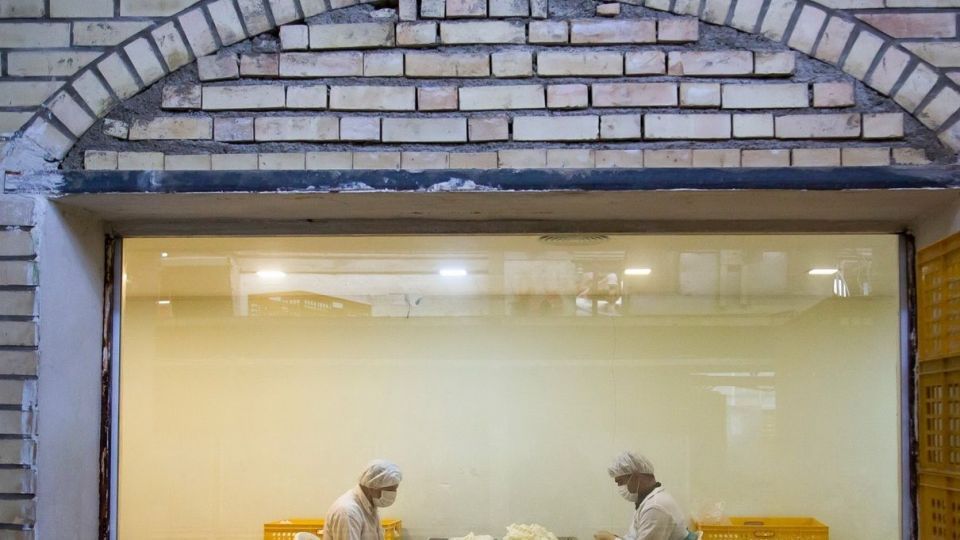 کارگاه تولید دستکش جراحی لاتکس در جنوب کشور