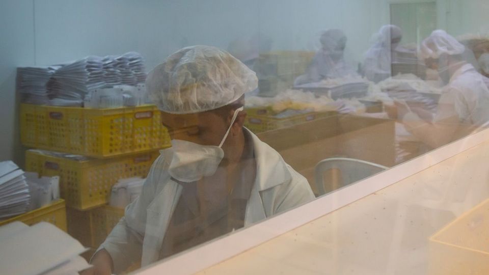 کارگاه تولید دستکش جراحی لاتکس در جنوب کشور