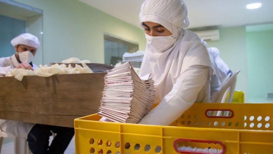 کارگاه تولید دستکش جراحی لاتکس در جنوب کشور