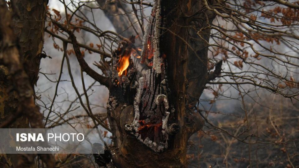 حریق جنگل های شهرستان نکا