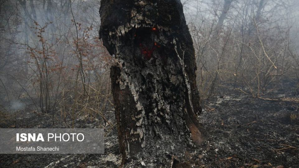 حریق جنگل های شهرستان نکا