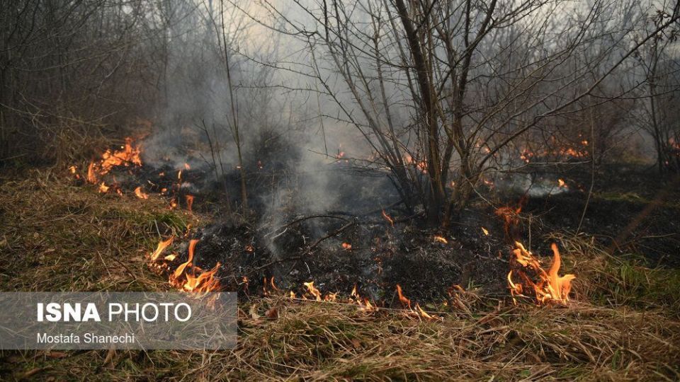 حریق جنگل های شهرستان نکا