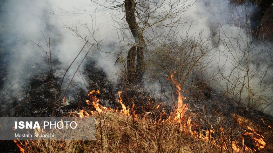 حریق جنگل های شهرستان نکا