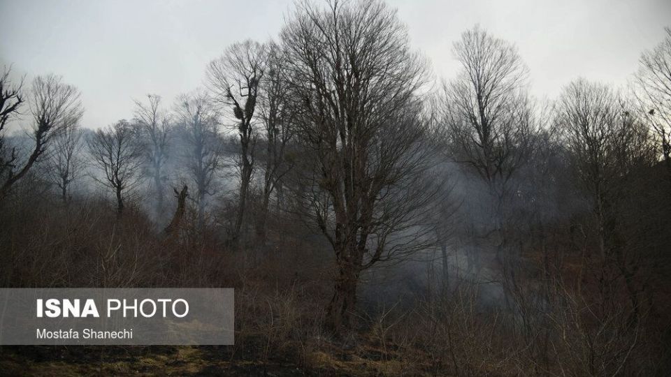 حریق جنگل های شهرستان نکا