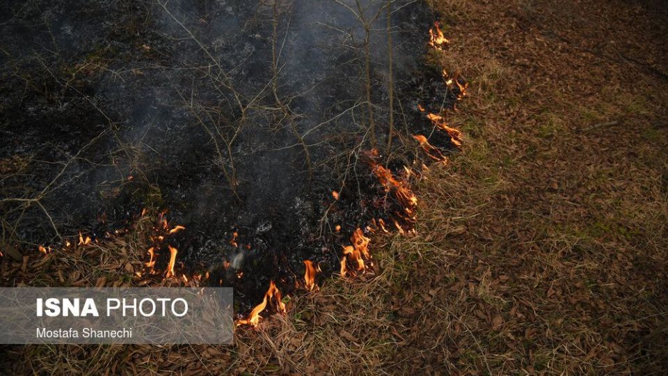 حریق جنگل های شهرستان نکا