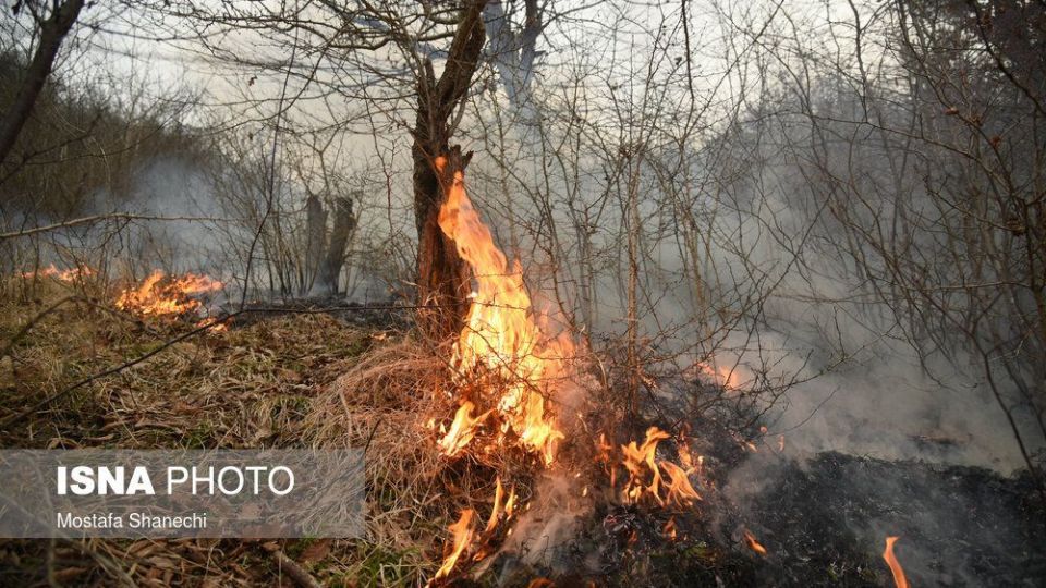 حریق جنگل های شهرستان نکا
