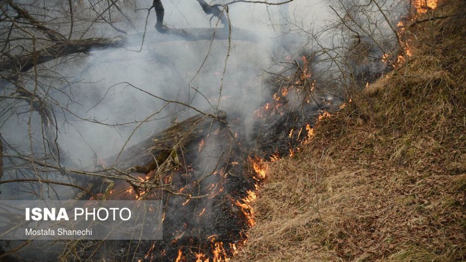 حریق جنگل های شهرستان نکا