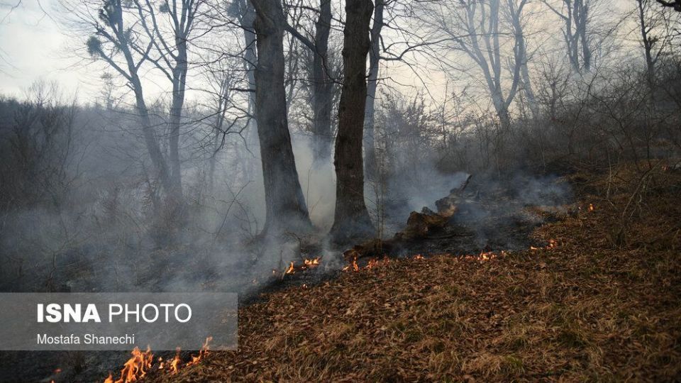 حریق جنگل های شهرستان نکا