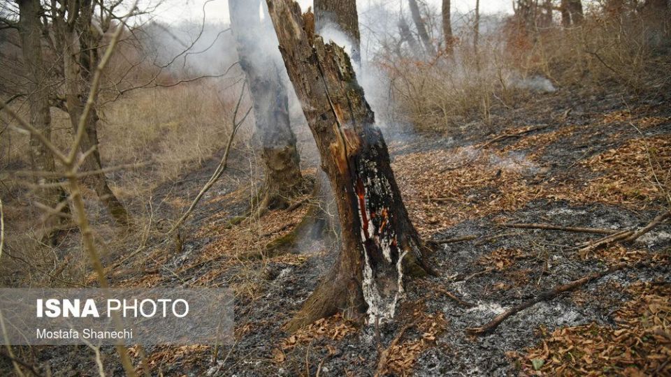 حریق جنگل های شهرستان نکا