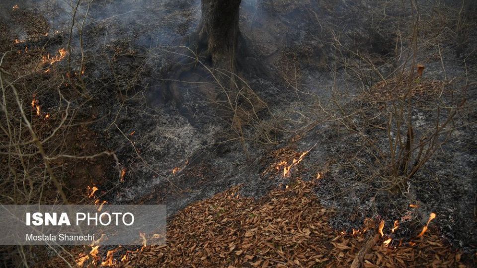 حریق جنگل های شهرستان نکا