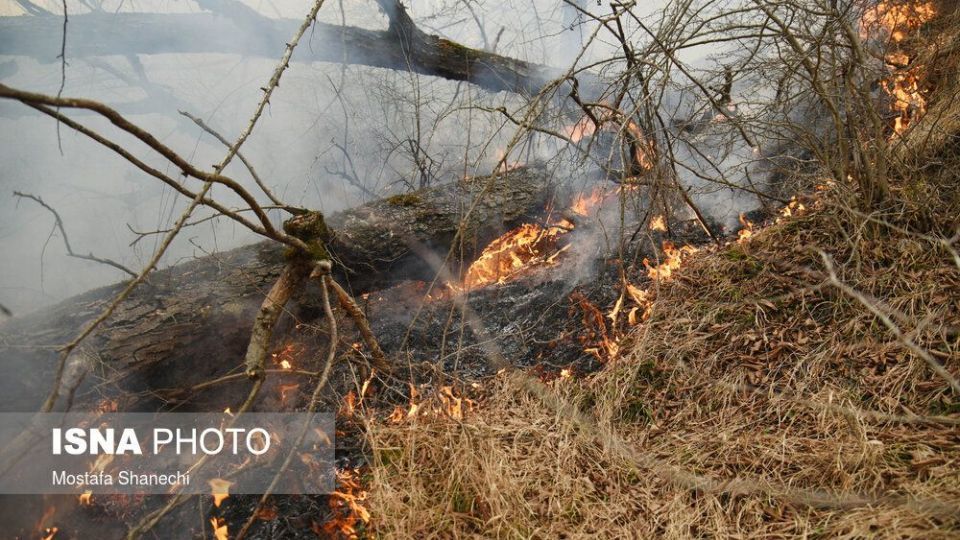 حریق جنگل های شهرستان نکا