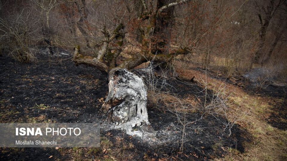 حریق جنگل های شهرستان نکا