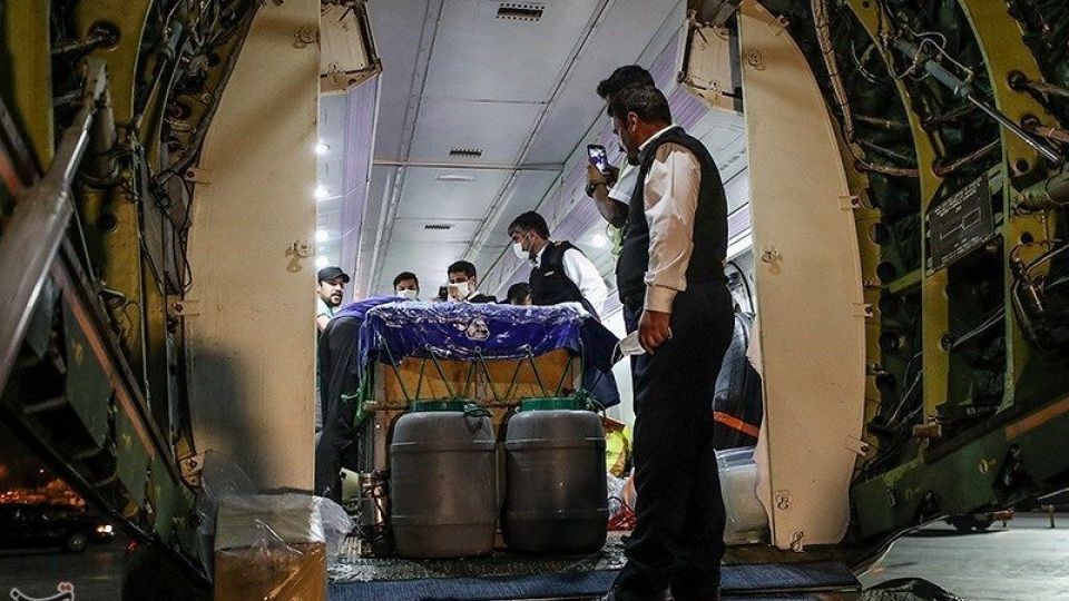 انتقال تنها دلفین برج میلاد به کیش