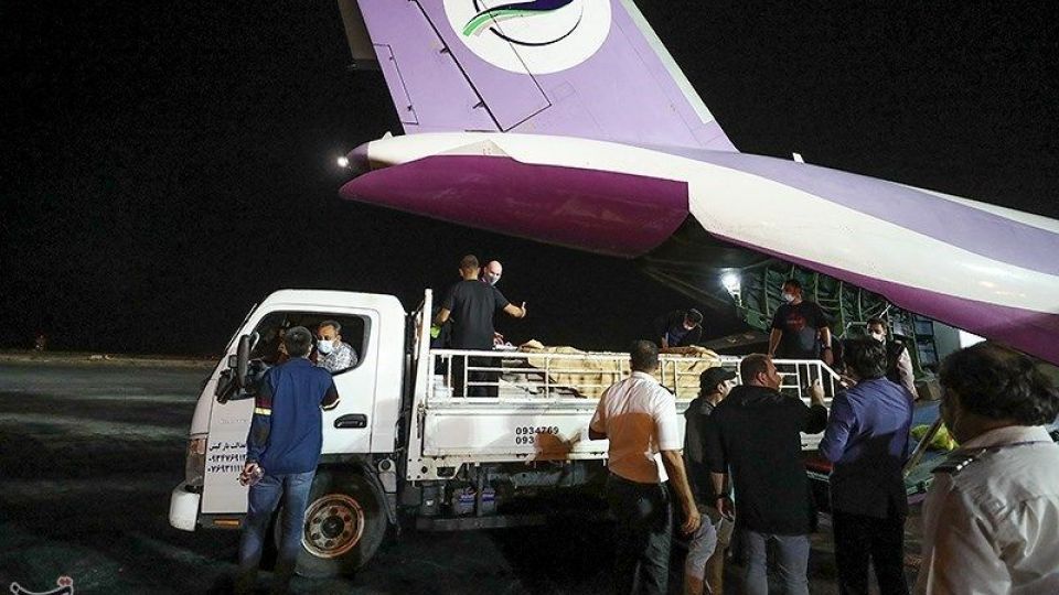 انتقال تنها دلفین برج میلاد به کیش