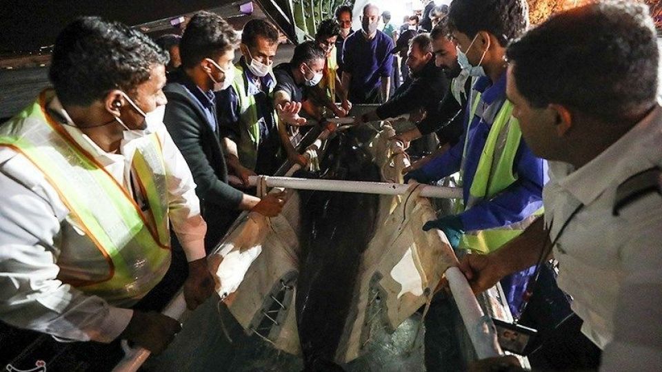 انتقال تنها دلفین برج میلاد به کیش