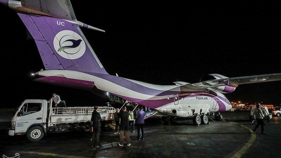 انتقال تنها دلفین برج میلاد به کیش