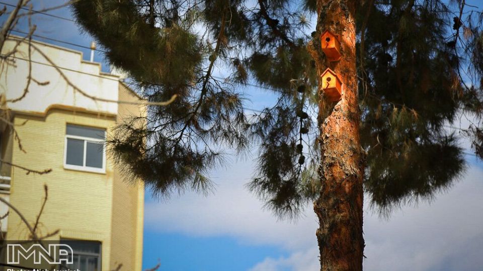 نصب هزار لانه پرنده در منطقه ۸ شهرداری اصفهان