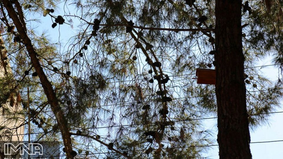 نصب هزار لانه پرنده در منطقه ۸ شهرداری اصفهان