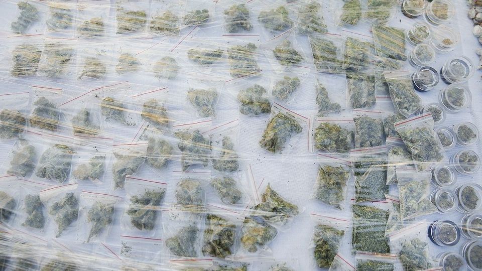 بازدید فرمانده ناجا از دستاورد‌های پلیس