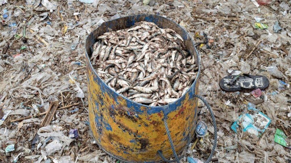 ماهیگیری در میان انبوه زباله‌ در ساحل منطقه توریستی بالی