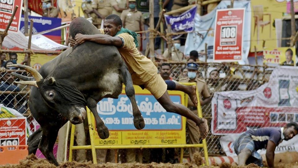 عکس های منتخب هفته از جهان