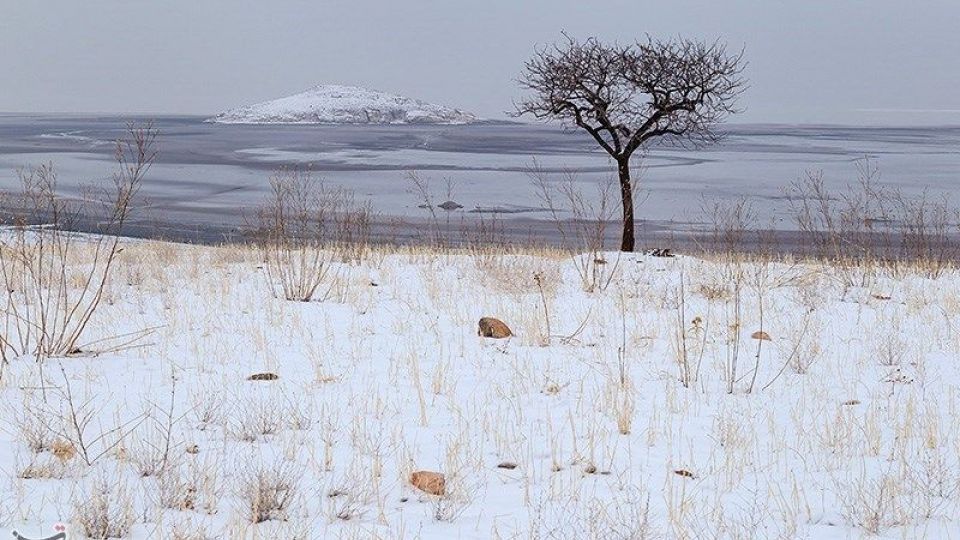 طبیعت زمستانی دریاچه ارومیه