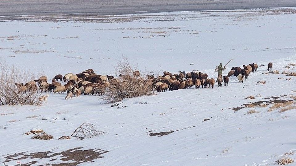 طبیعت زمستانی دریاچه ارومیه