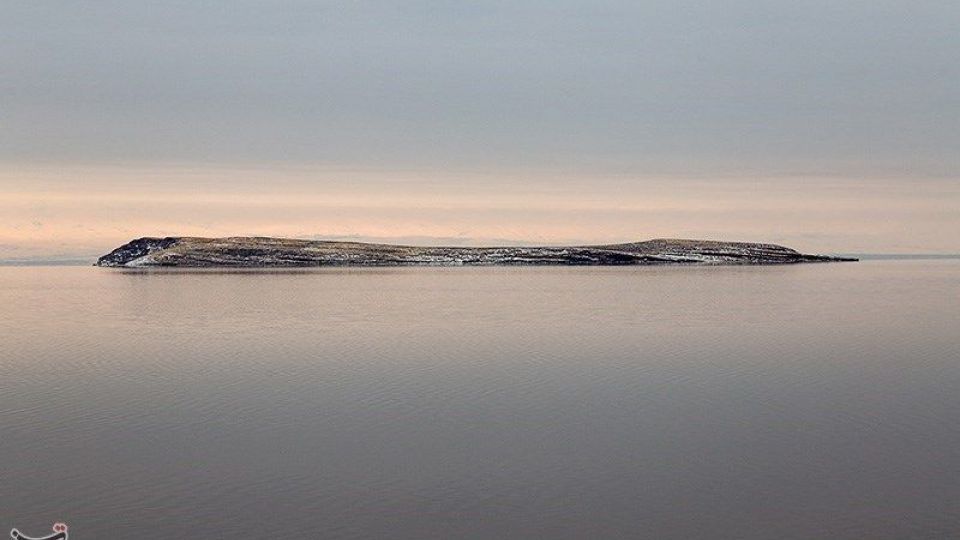 طبیعت زمستانی دریاچه ارومیه