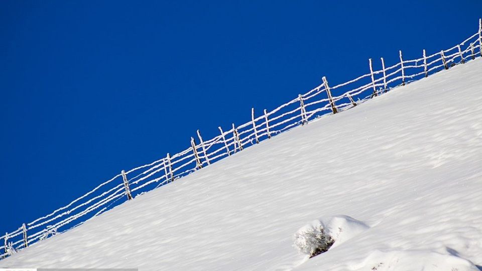 بارش برف در ارتفاعات چالوس