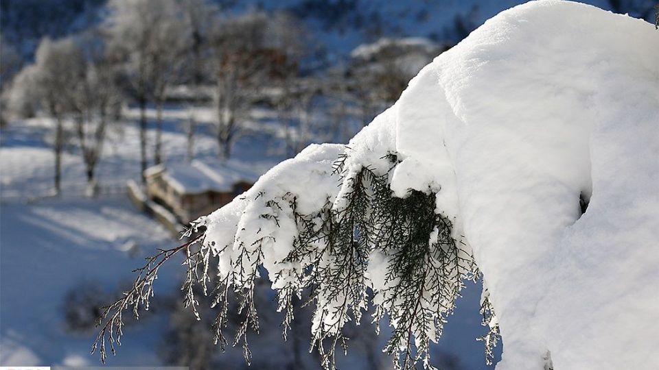 بارش برف در ارتفاعات چالوس