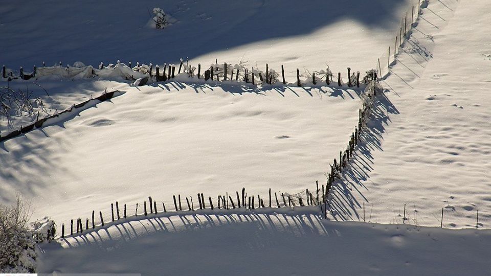 بارش برف در ارتفاعات چالوس