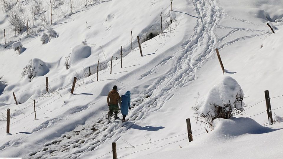 بارش برف در ارتفاعات چالوس