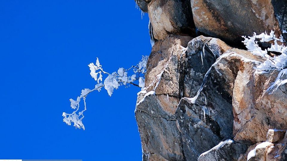 بارش برف در ارتفاعات چالوس