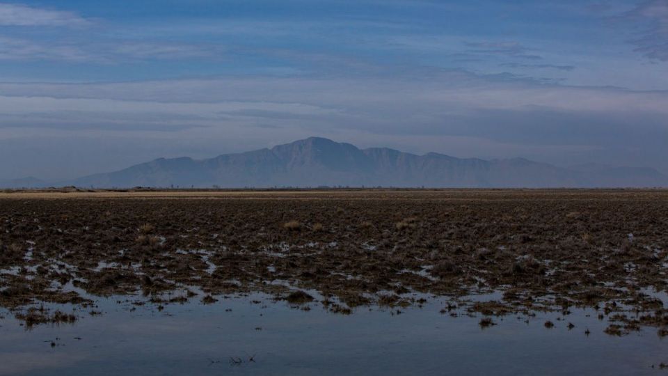 روز جهانی تالاب‌ها