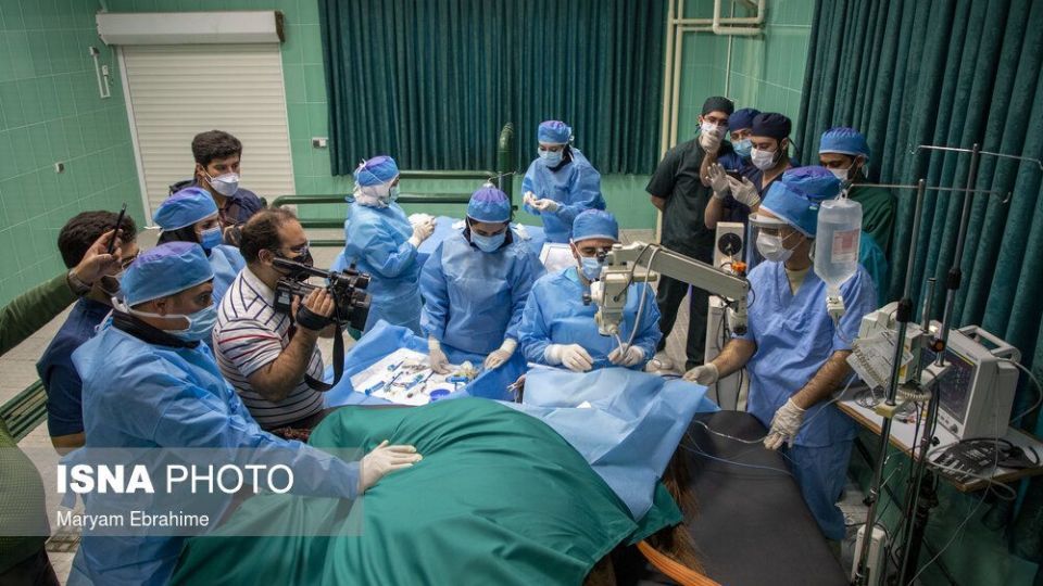 تلاش چند ساعته برای شفای چشمان ۵ حیوان نابینا و کم‌بینا