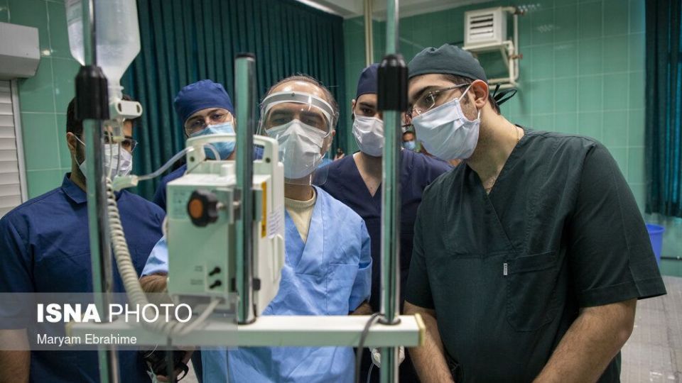 تلاش چند ساعته برای شفای چشمان ۵ حیوان نابینا و کم‌بینا