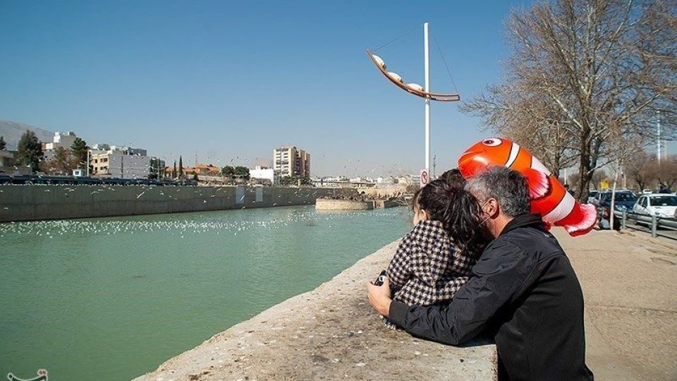 میهمانان ناخوانده زمستان شیراز