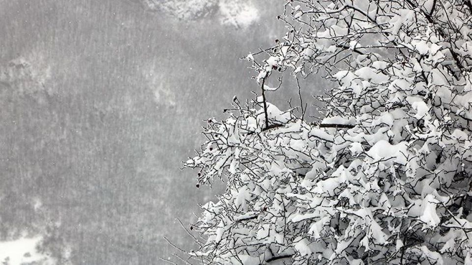 آخر هفته در کدام استان‌ها برف و باران می‌بارد؟